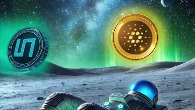 top-three-coins-to-buy-before-the-end-of-this-bull-run:-cardano,-binance-coin,-and-unilabs