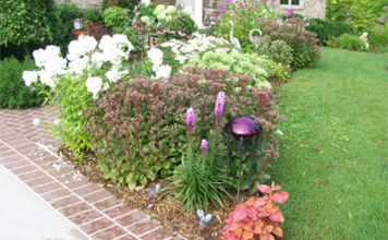 transforming-outdoor-spaces-with-planting-services-in-green-bay